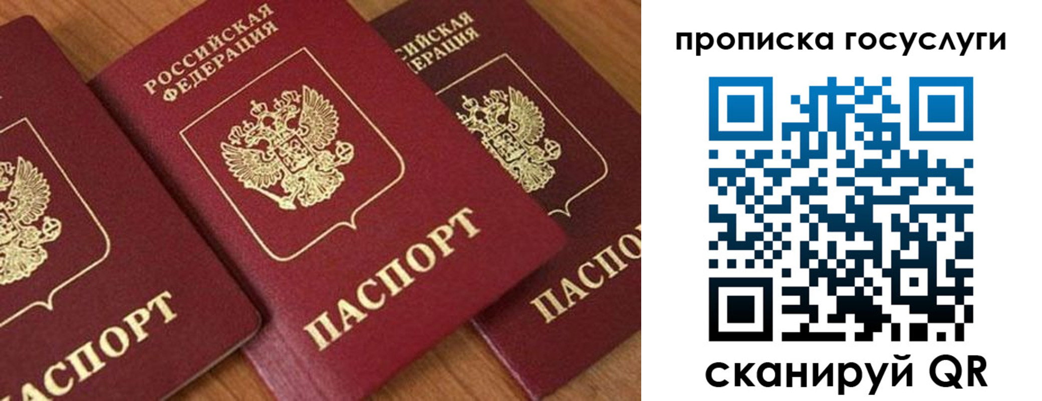 временная прописка в Кандалакше